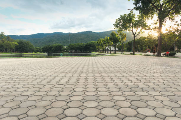 Best Driveway Paving Contractor  in Janesville, IA